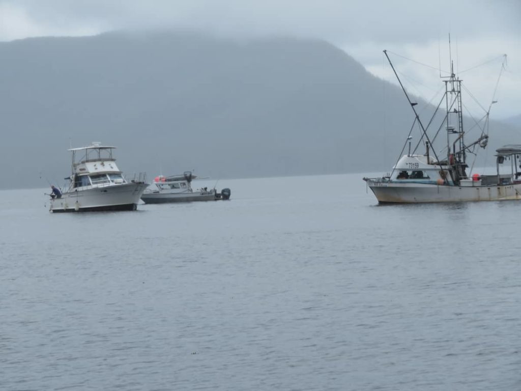 Alaska, Fishing, Cruise, salmon