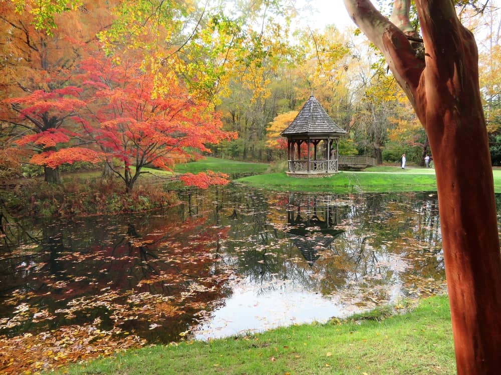 Reflecting pond at Gibbs Gardens