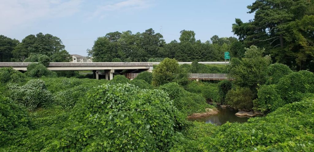 Noonday Creek crosses under Interstate 75 near Kennesaw. OurTravelCafe.com