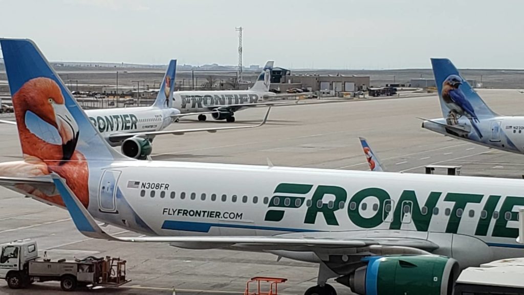 Wildlife images on Frontier planes at DIA, OurTravelCafe.com