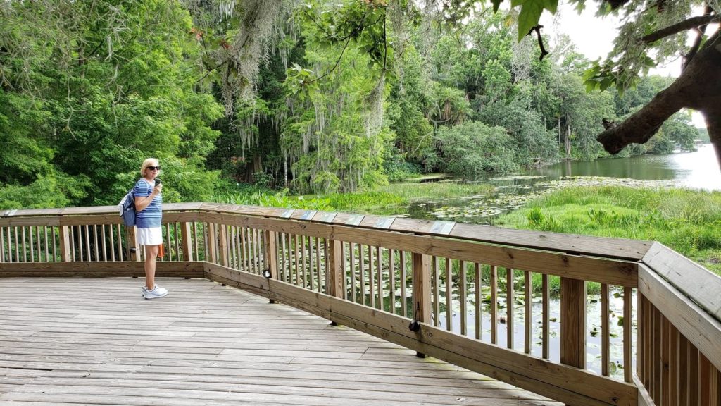 Lake overlook at Leu Gardens in Orlando