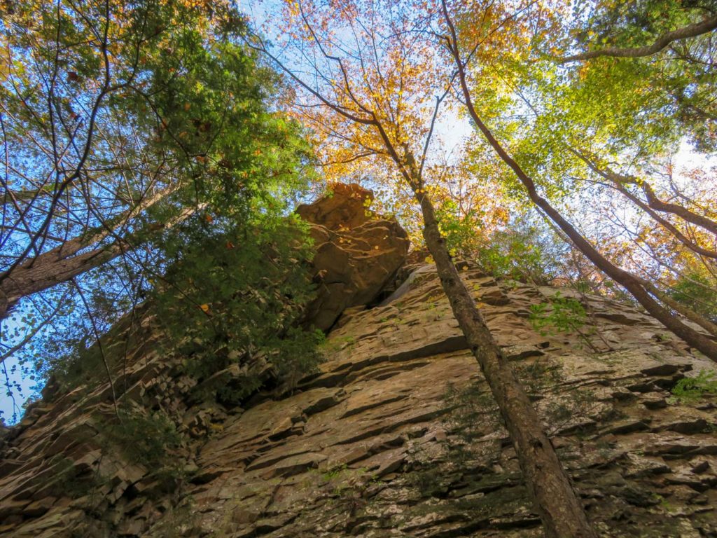 Colorful fall canopy on a rocky trail at Cloudland State Park