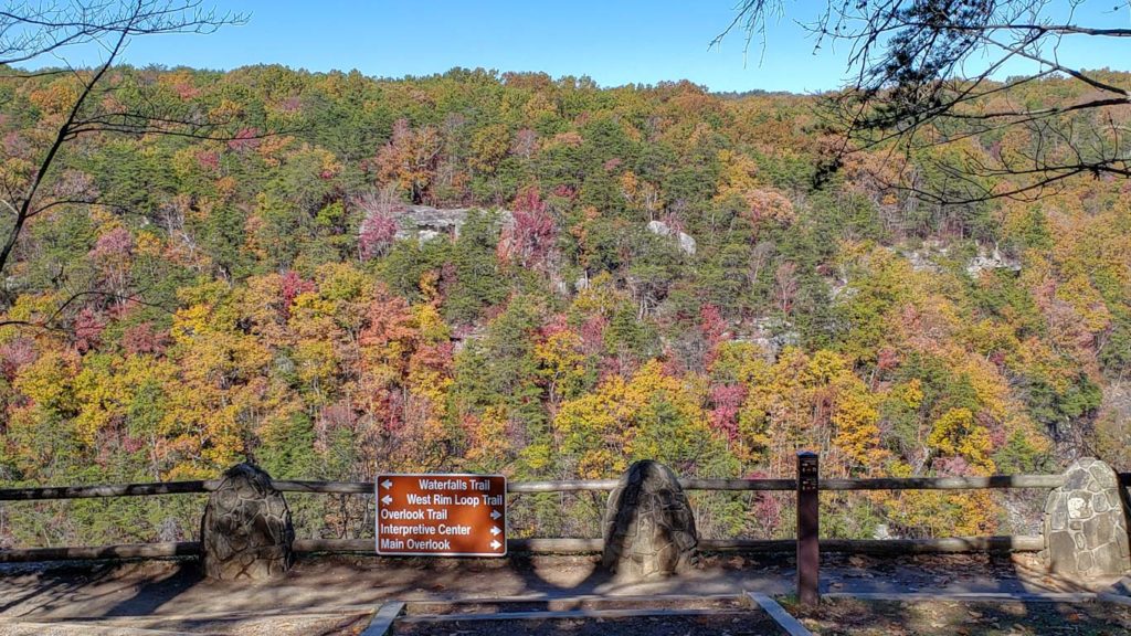 Trail entrance view of Cloudland Canyon