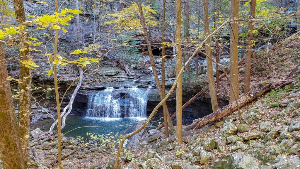 Small waterfall surrounded by fall leaves at Cloudland Canyon