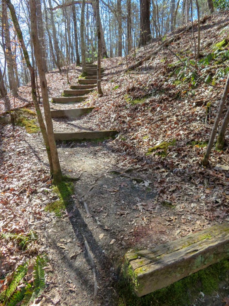 Wooden steps lead up a hillside