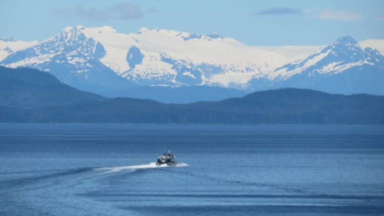 Salmon Fishing Lessons from Alaska