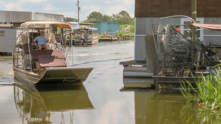 Of Air Boats, Alligators and Swamp Tales