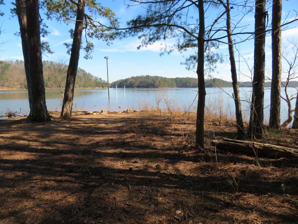 Trees and lake with an osprey nest in Georgia