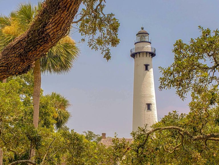 Our Five Favorite Forays on St. Simons Island