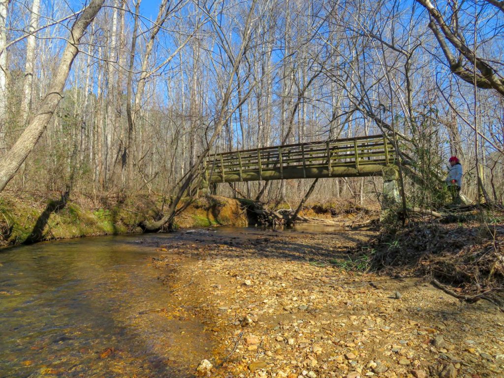 Bridge crosses a forest creek