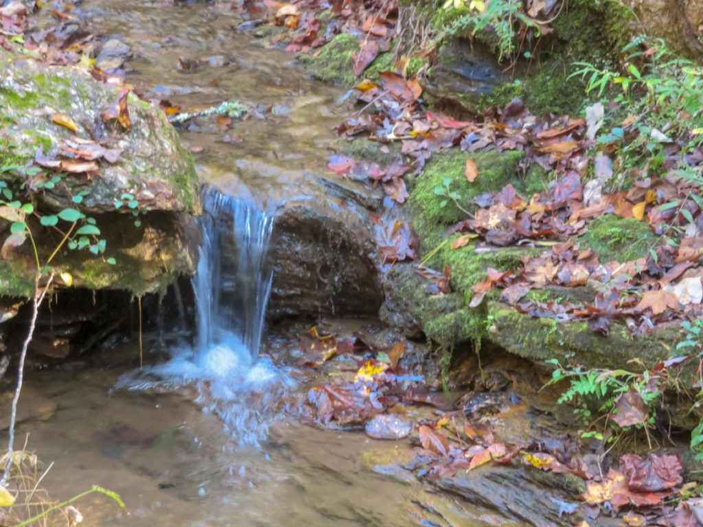 A small waterfall in a mountain stream