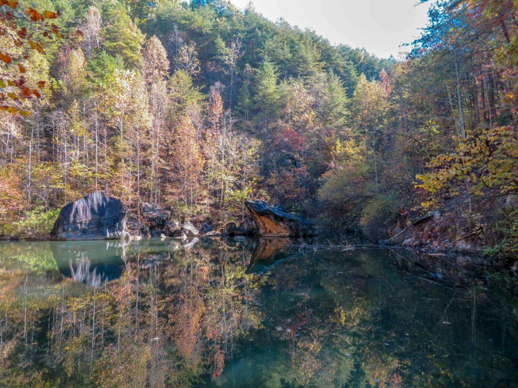 Fall colored trees at abandoned quarry