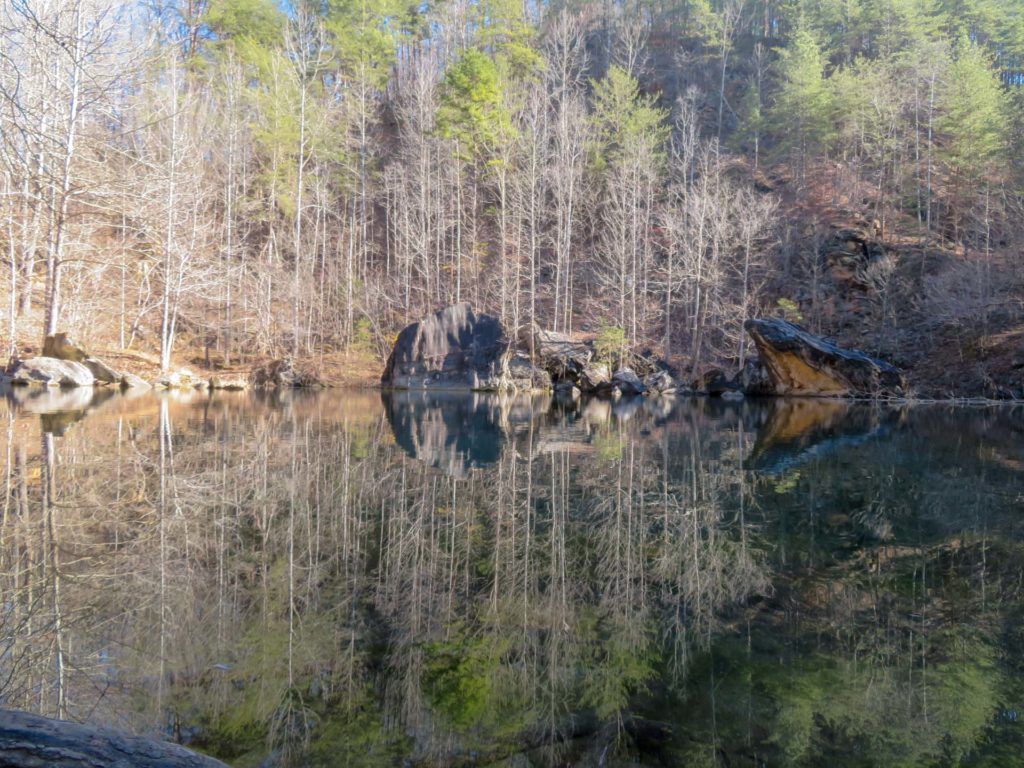 Trees reflect in a mountain pond in winter