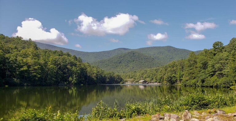 Vogel State Park view